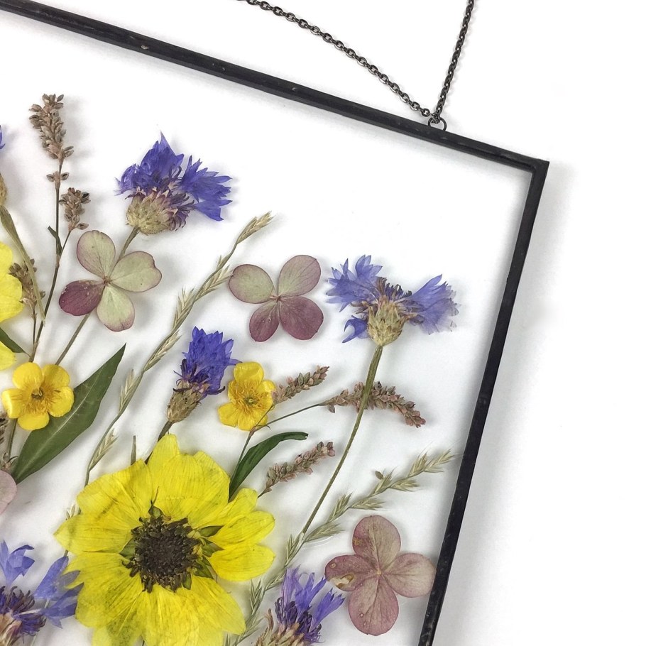 Гербарий картина под стеклом