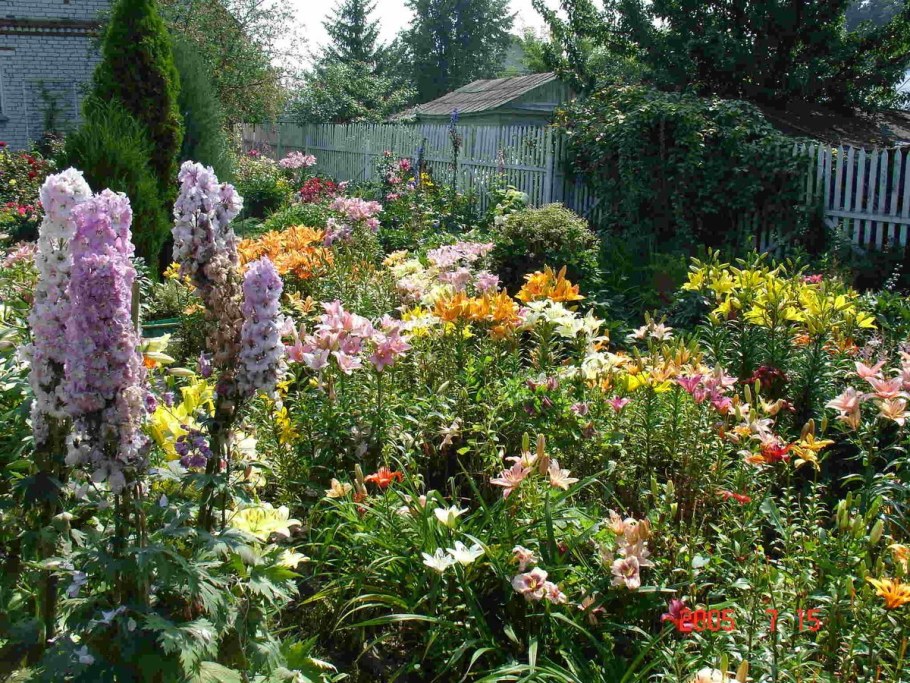 Сад Аркатова Игоря