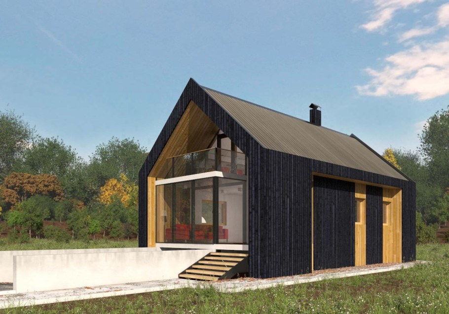 Реконструкция старого домика в комнату и летнюю кухню