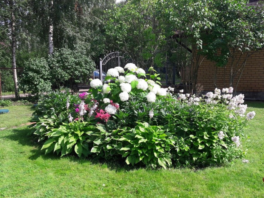 Розарий Оксаны Хлебородовой