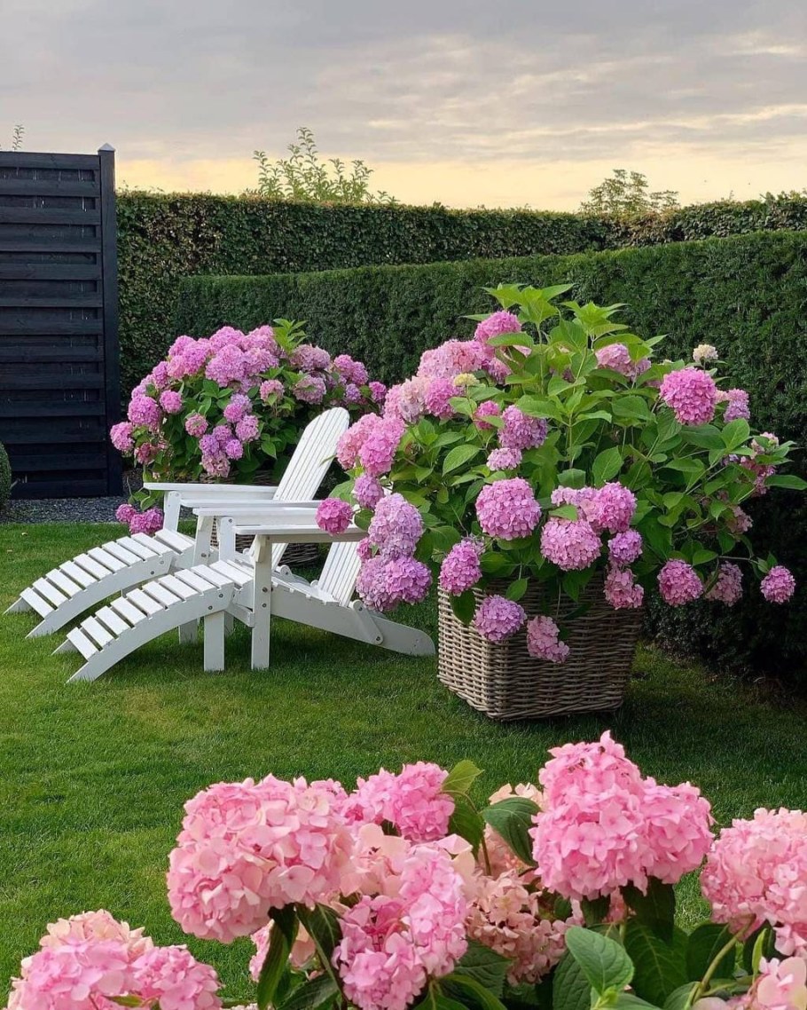 Миксбордер около беседки