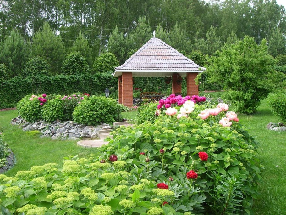 Цветник с гортензией и пионами