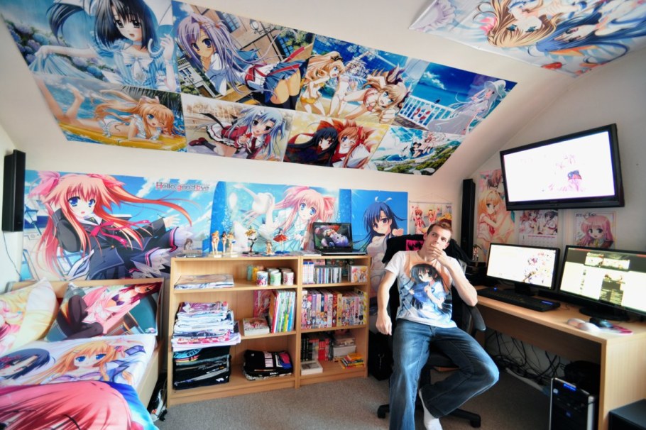 Комната АНИМЕШНИКА