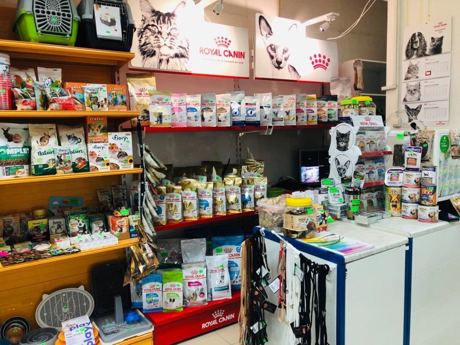 Расписание врачей в больнице