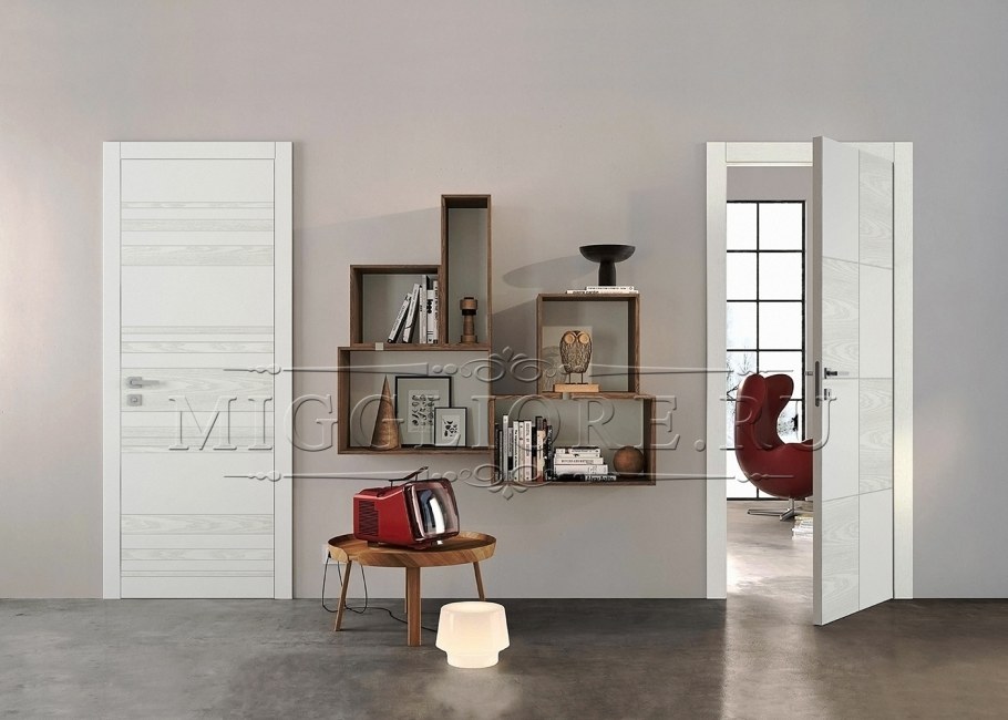 Двери тренд Дорс в интерьере