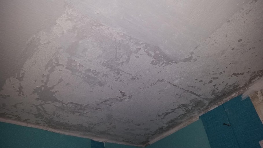 Шпаклевка потолка