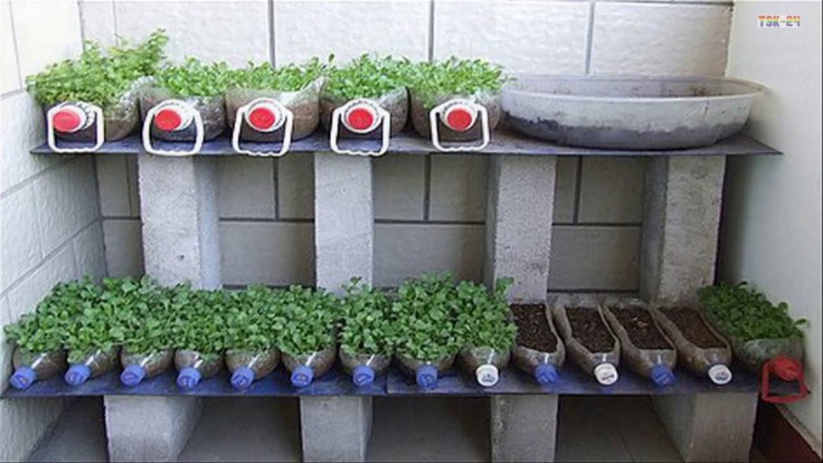 Стеллаж для хранения банок заготовок