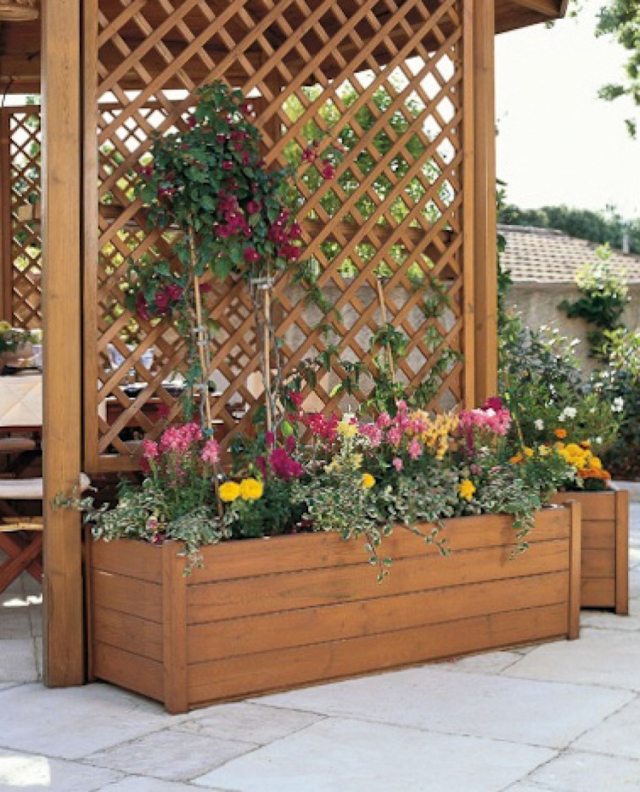 Шпалера на даче