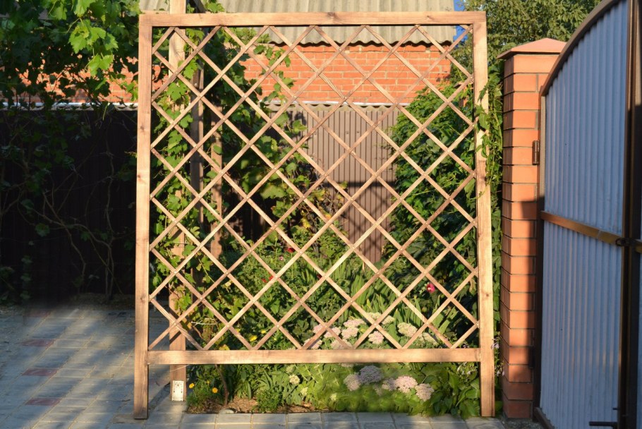 Шпалера с перголой клематис