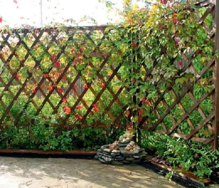 Шпалера "суперсетка"