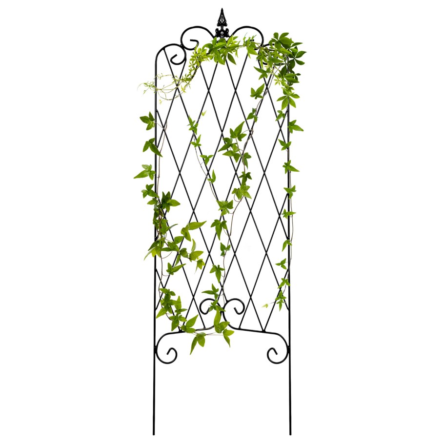 Пергола пирамида клематис ковка