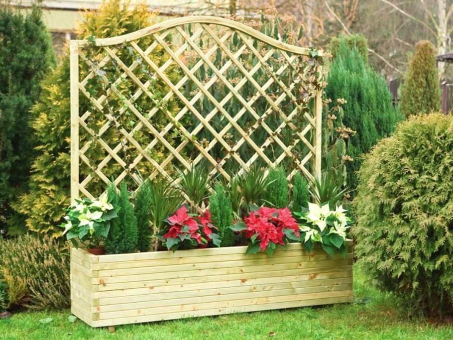 Шпалеры в ландшафте