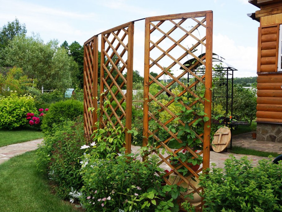 Пергола ширма