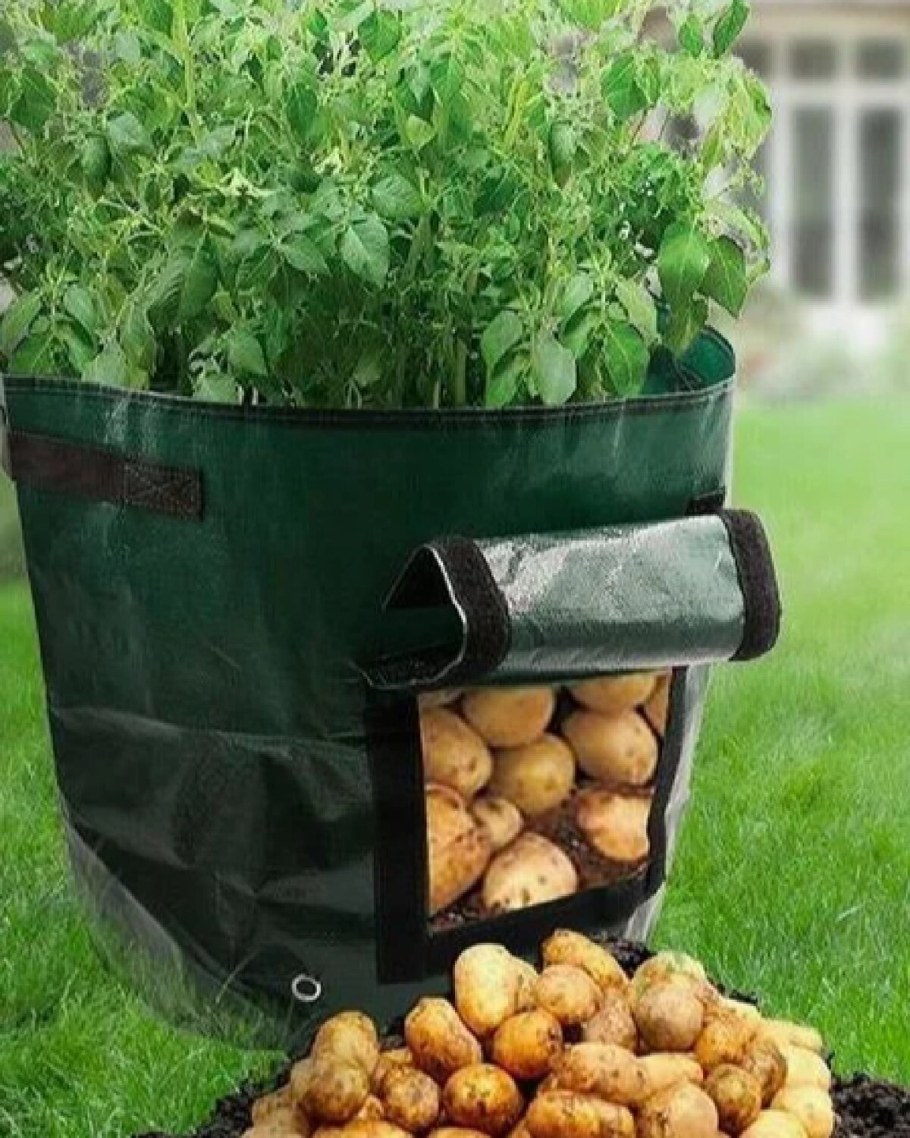 Полезное для дачи