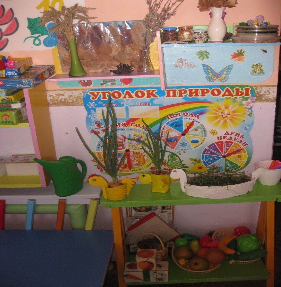 Стеллаж для уголка природы в детском саду