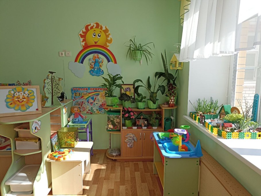 Пространственная среда уголок природы