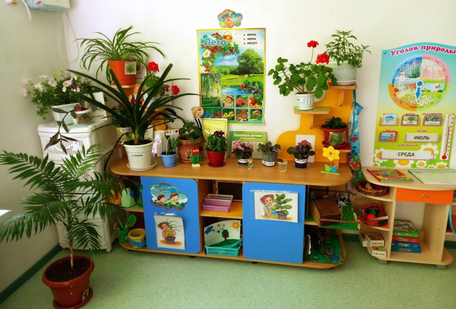 Уголок природы в садике