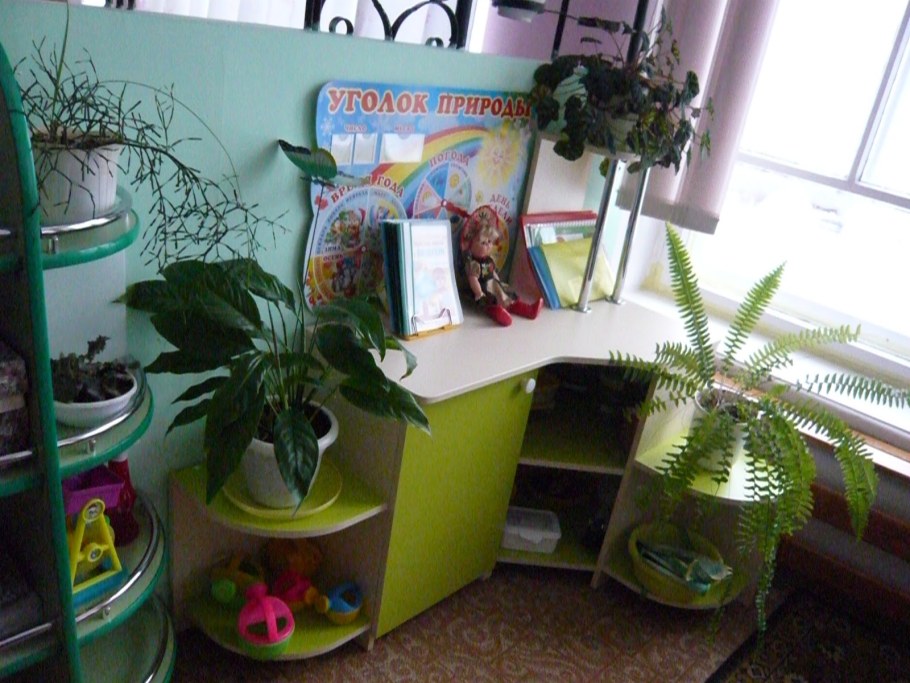 Мебель уголок живой природы в детском саду