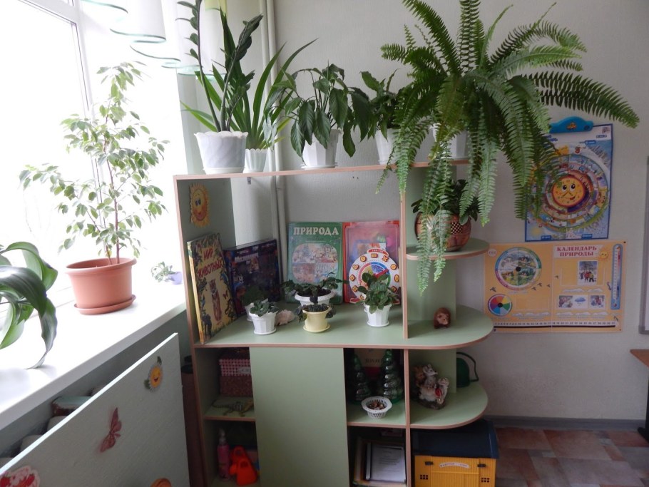 Уголок природы змейка