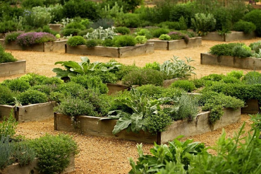Сад пряных трав и Аптекарский сад