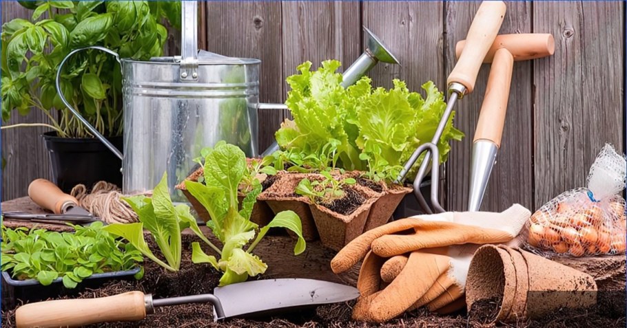 Садовый инвентарь