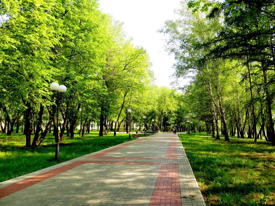 Липовая аллея Сокольники