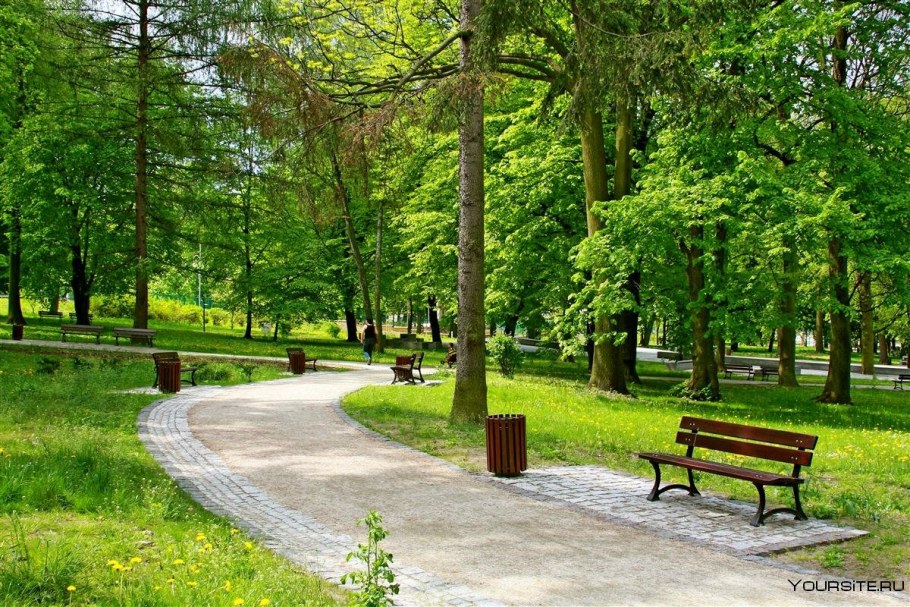 Город Воронеж парк