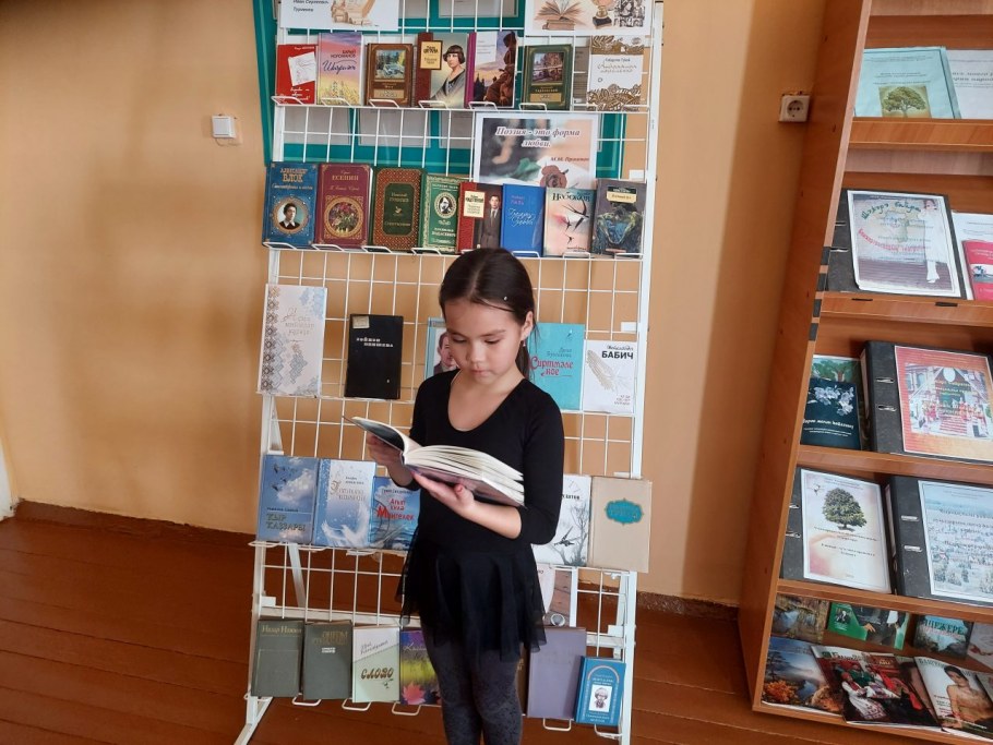 Стулья для читального зала библиотеки