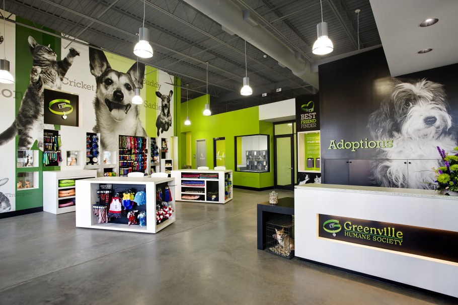 Красивый интерьер зоомагазины