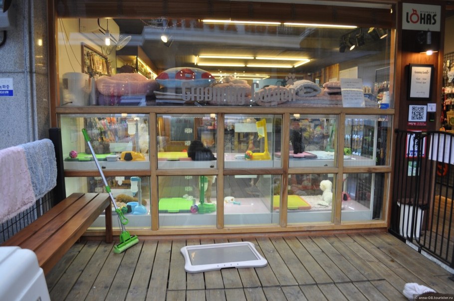 Зоомагазины интересные