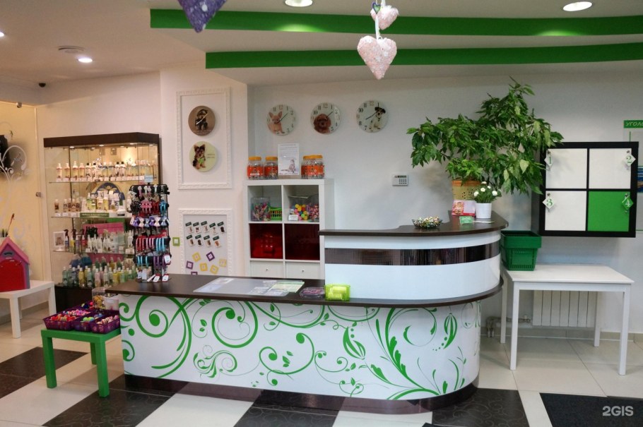 Зоомагазин интерьер