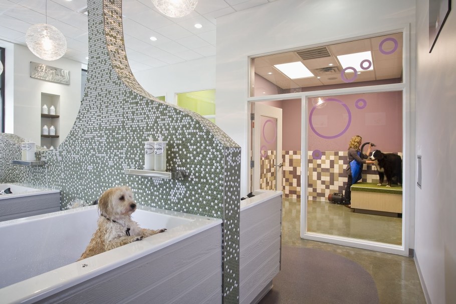 Красивый зоомагазин