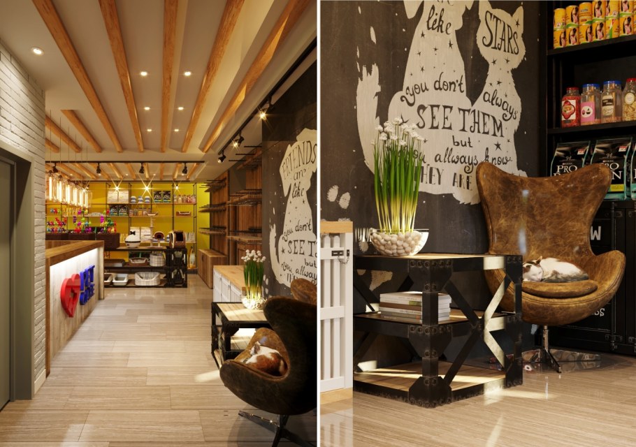 Зоомагазин интерьер