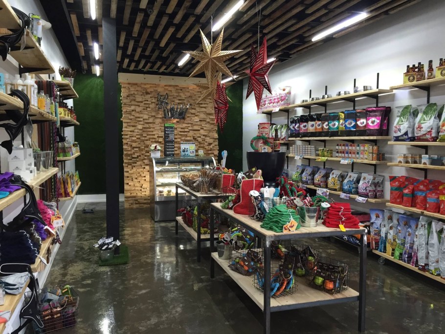 Зоомагазин дизайн интерьера