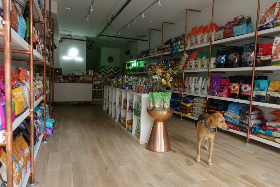 Необычный зоомагазин