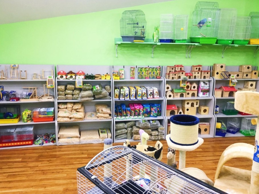 Необычный зоомагазин