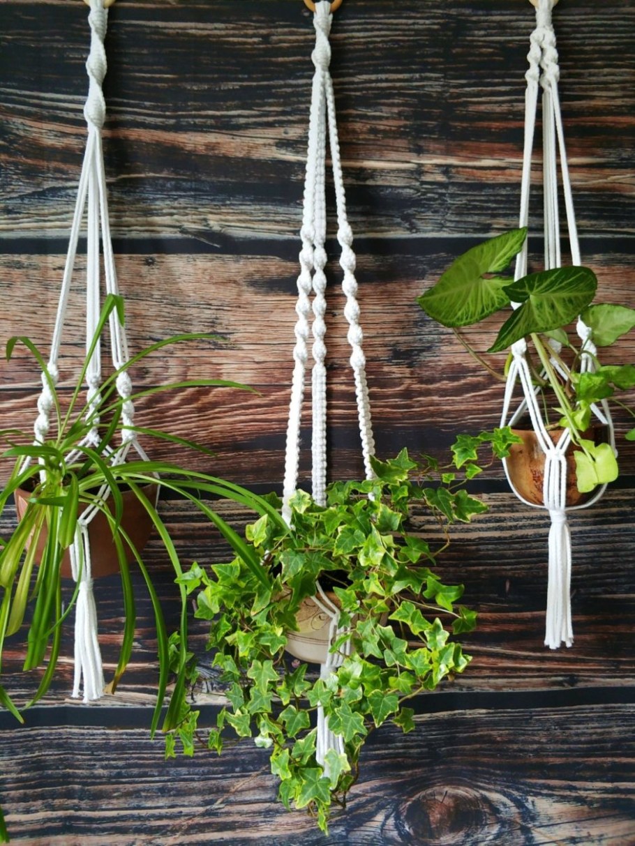 Macrame Plant Hanger