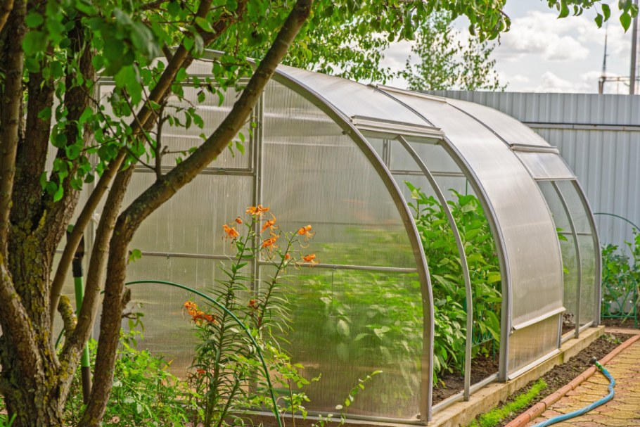 Теплица Альтакрафт Оазис с раздвижной крышей