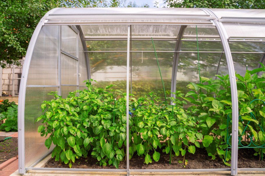 Теплица Орион 2м со сдвижной крышей