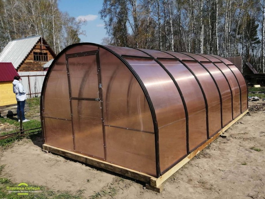 Теплица тюльпан антишторм