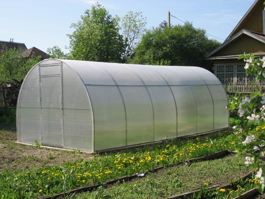 Теплица кормилица умница