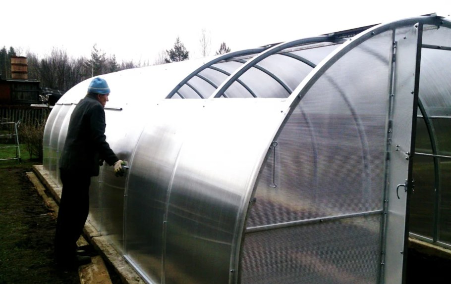 Теплица тюльпан антишторм