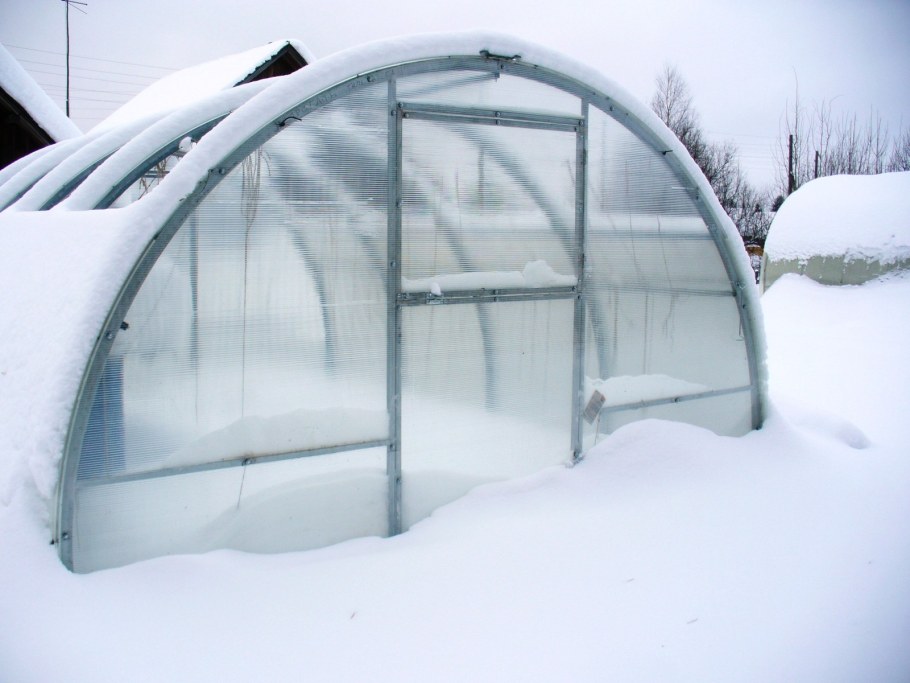 Теплица тюльпан антишторм с открывающейся крышей
