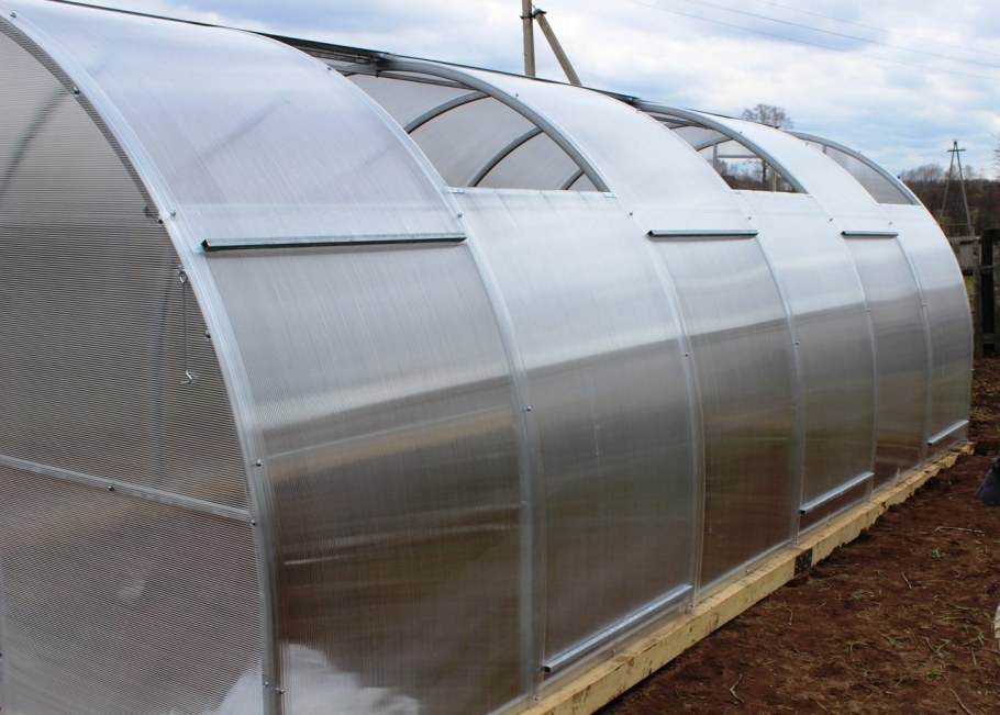 Теплица кормилица