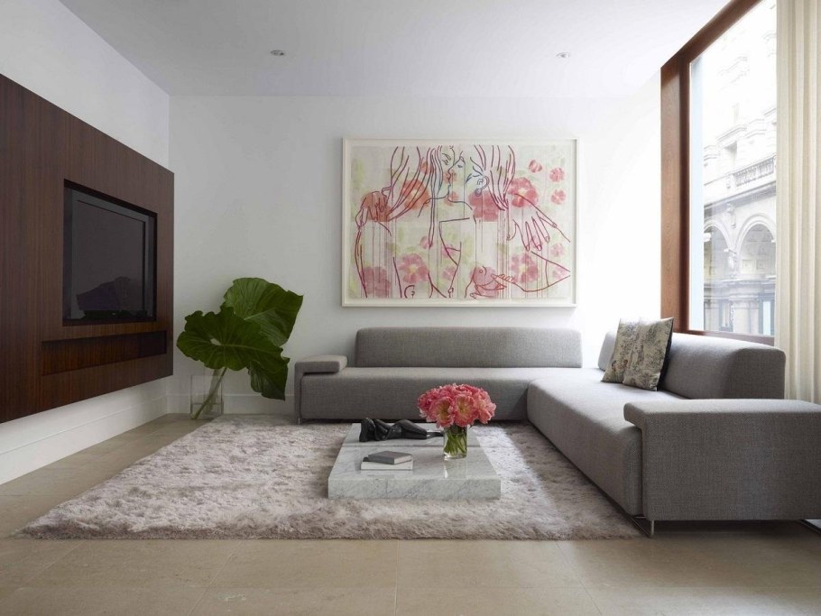 Телевизор напротив окна