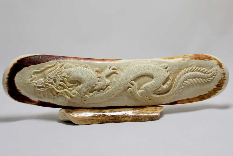 Кора бивня мамонта