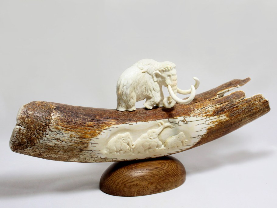 Древние бивни Мамонтов кости