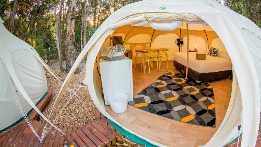 Поляна глэмпинг Калининград