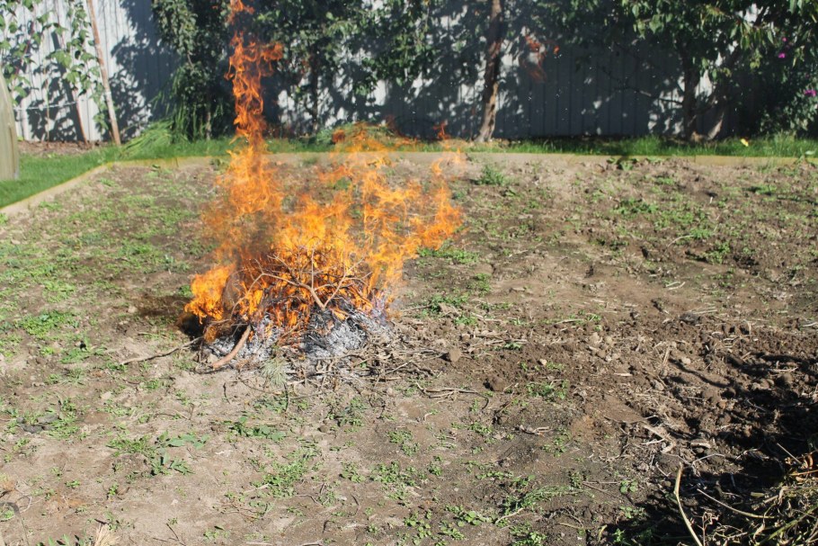 Штраф за сжигание мусора на своем участке