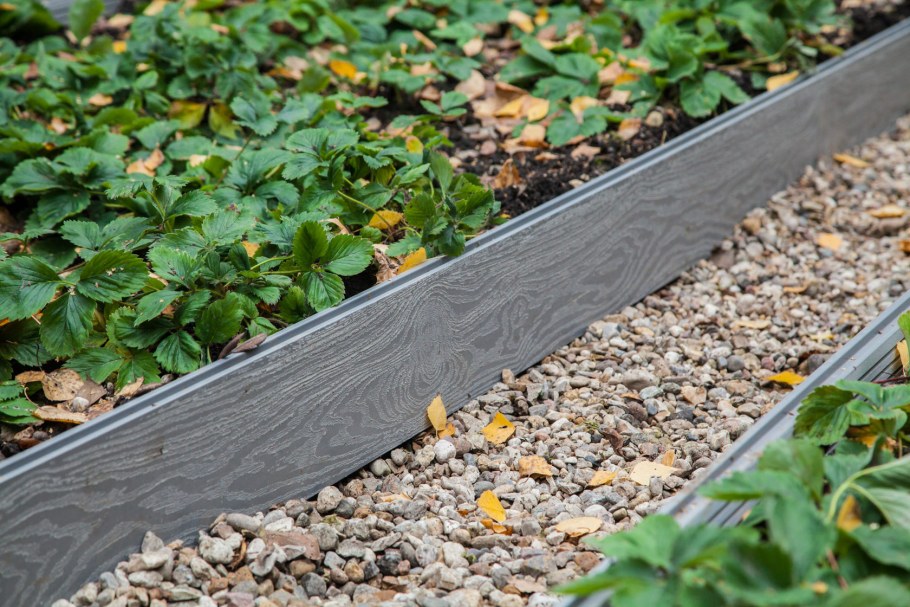 Бордюр для клумб